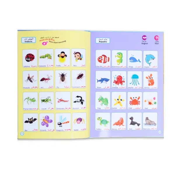 Premier Livre Éducatif Anglais Arabe Pour Enfants