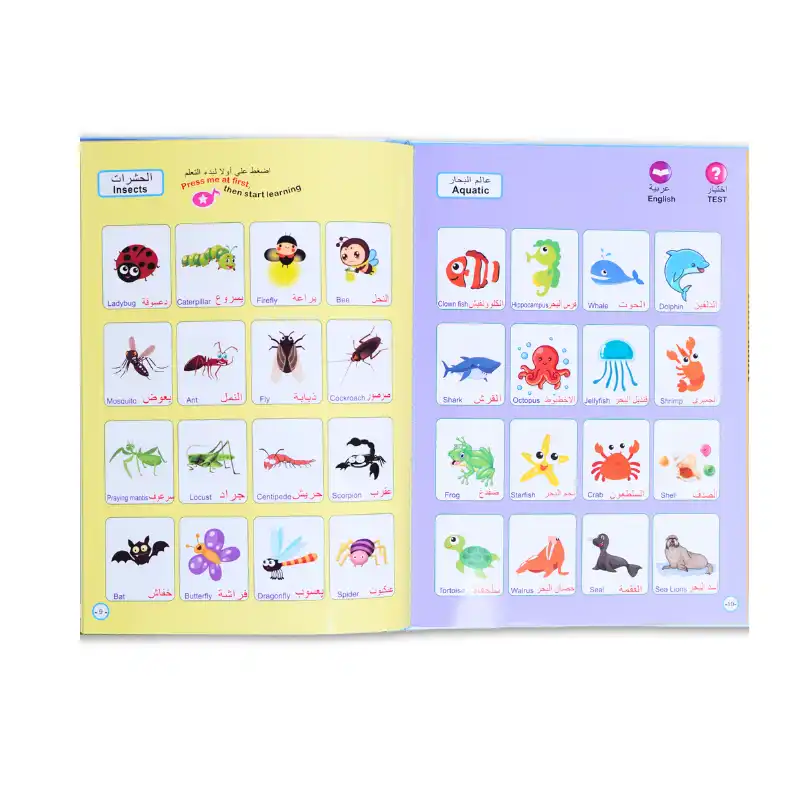 Premier Livre Éducatif Anglais Arabe Pour Enfants